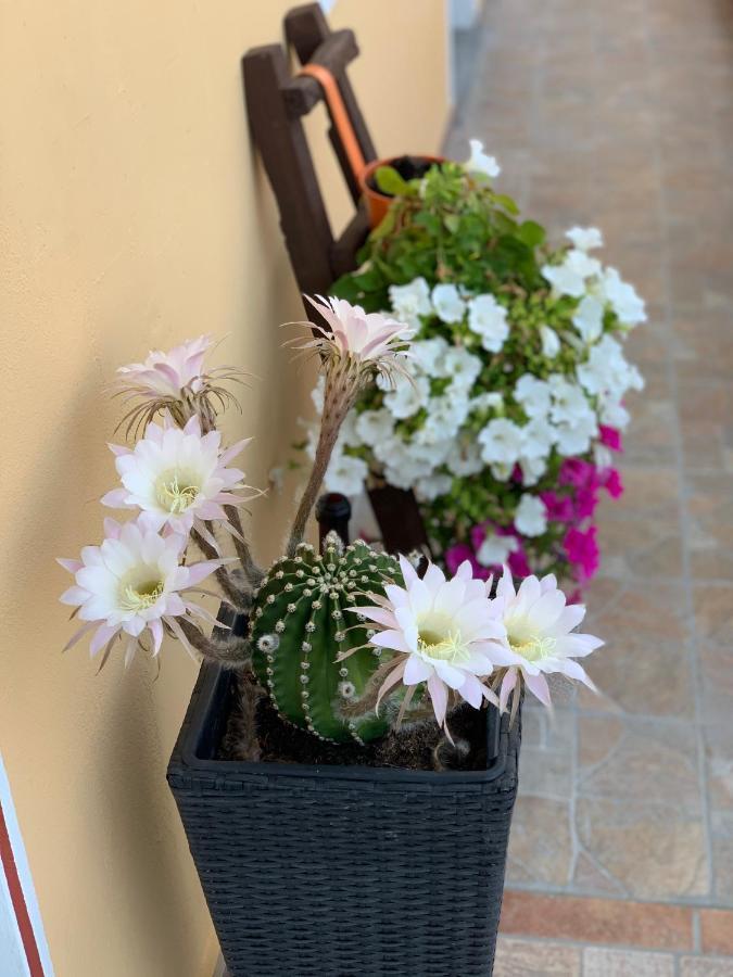 Bed and Breakfast Bb Borgo Biella Candelo Esterno foto